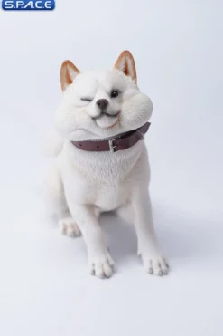 1/6 Scale sitting Shiba Inu »Don't go Home«
