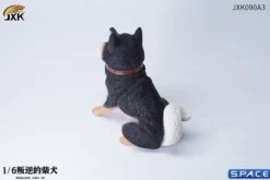 1/6 Scale sitting Shiba Inu »Don't go Home«