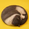1/6 Scale sleeping Cat