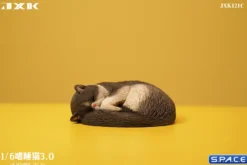 1/6 Scale sleeping Cat
