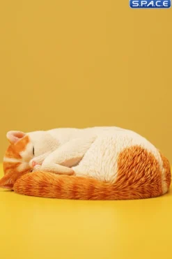 1/6 Scale sleeping Cat