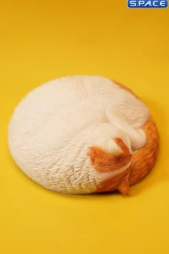 1/6 Scale sleeping Cat
