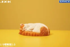 1/6 Scale sleeping Cat