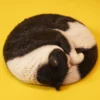1/6 Scale sleeping Cat