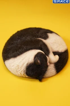 1/6 Scale sleeping Cat