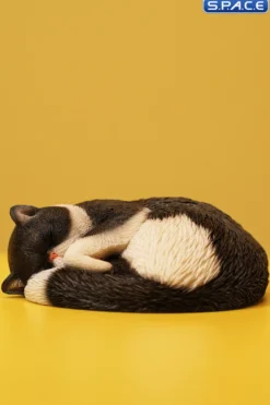 1/6 Scale sleeping Cat