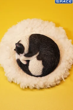 1/6 Scale sleeping Cat