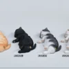1/6 Scale sleeping Cat with pillow