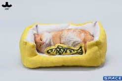 1/6 Scale sleeping Cat with pillow