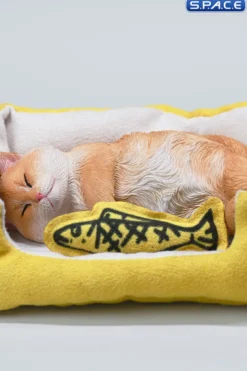 1/6 Scale sleeping Cat with pillow