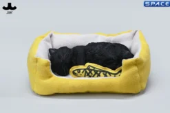 1/6 Scale sleeping Cat with pillow