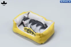 1/6 Scale sleeping Cat with pillow