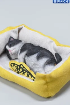 1/6 Scale sleeping Cat with pillow