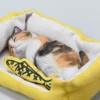 1/6 Scale sleeping Cat with pillow