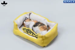 1/6 Scale sleeping Cat with pillow