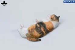 1/6 Scale sleeping Cat with pillow