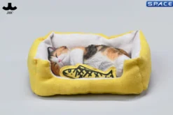 1/6 Scale sleeping Cat with pillow