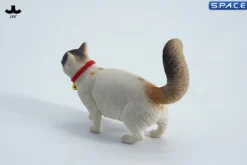 1/6 Scale Somali Cat