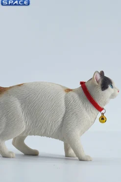 1/6 Scale Somali Cat