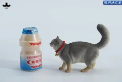 1/6 Scale Somali Cat