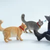 1/6 Scale Somali Cat