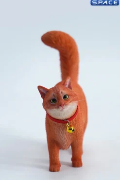 1/6 Scale Somali Cat
