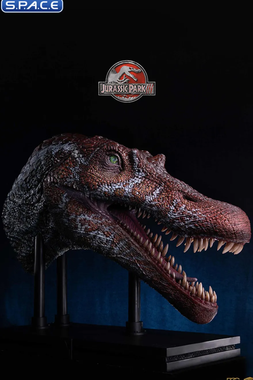 1/2 Scale Spinosaurus Head Replica
