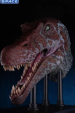 1/2 Scale Spinosaurus Head Replica