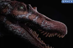 1/2 Scale Spinosaurus Head Replica