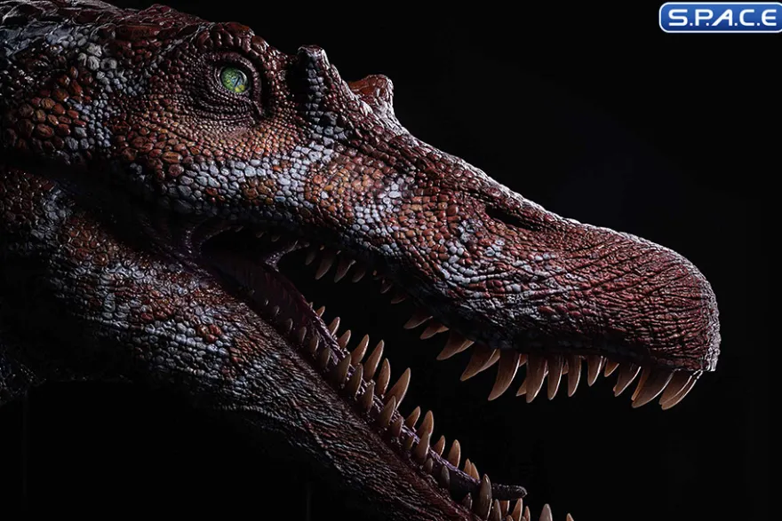 1/2 Scale Spinosaurus Head Replica