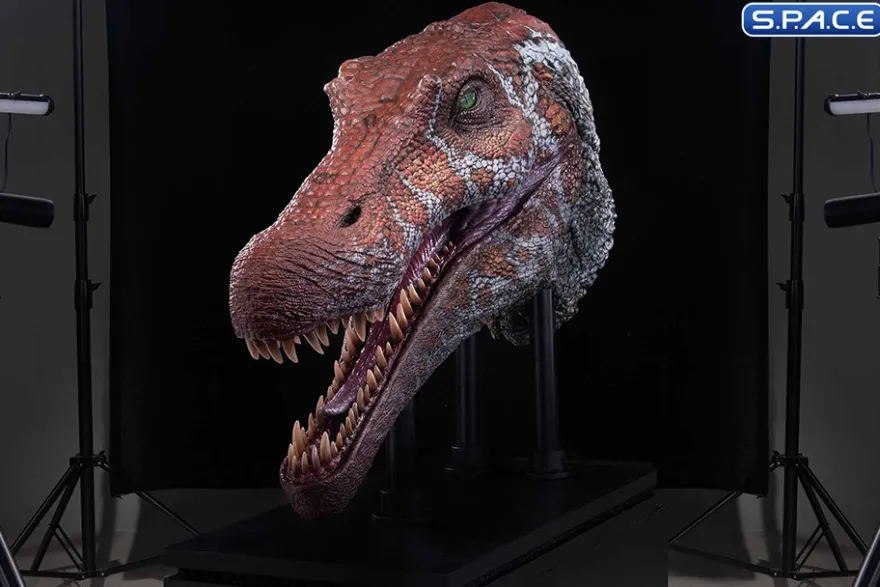 1/2 Scale Spinosaurus Head Replica