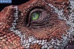 1/2 Scale Spinosaurus Head Replica