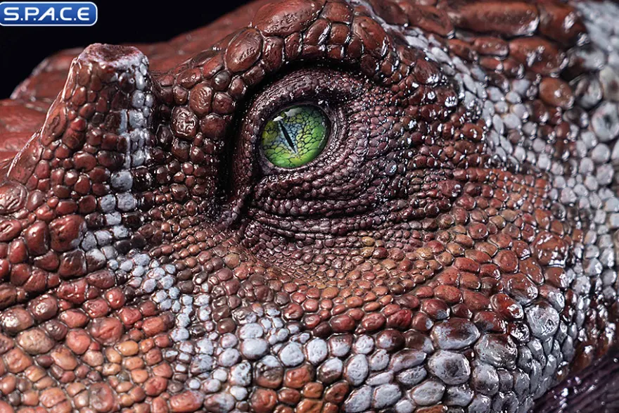 1/2 Scale Spinosaurus Head Replica