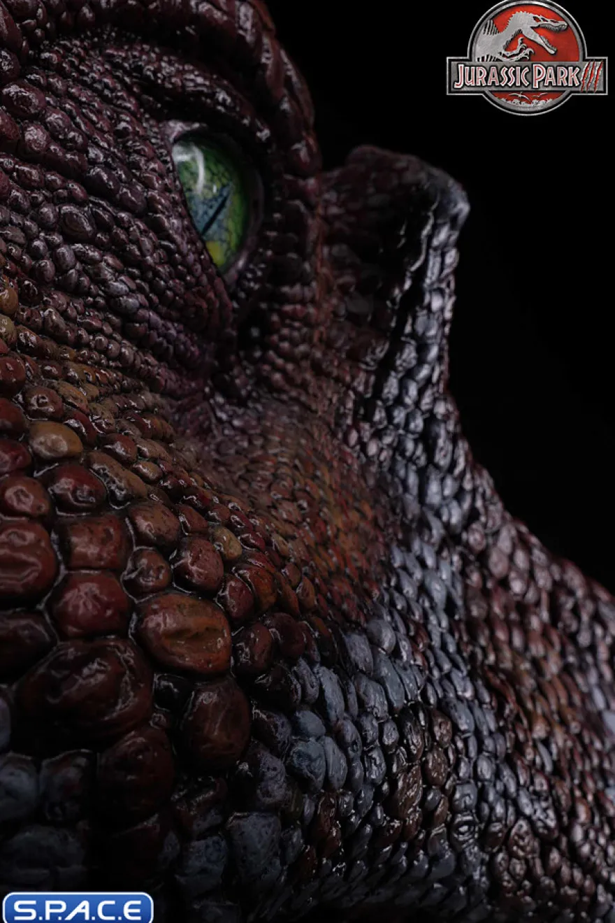 1/2 Scale Spinosaurus Head Replica