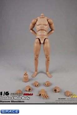1/6 Scale Standard Male Body 2.0