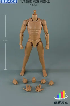 1/6 Scale Standard Male Body
