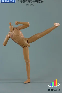 1/6 Scale Standard Male Body