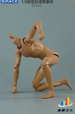 1/6 Scale Standard Male Body