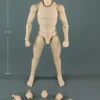 1/6 Scale Standard Male Body