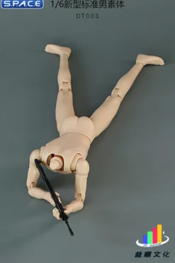 1/6 Scale Standard Male Body
