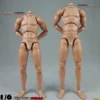 1/6 Scale Standard Male high Body 2.0