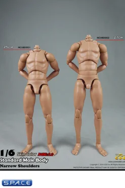 1/6 Scale Standard Male high Body 2.0