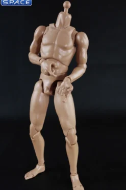 1/6 Scale Standard Muscle Arm Body