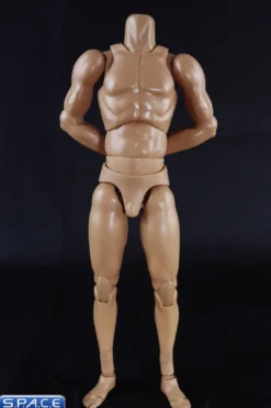 1/6 Scale Standard Muscle Arm High Body