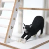 1/6 Scale stretching Cat