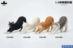 1/6 Scale stretching Cat