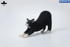 1/6 Scale stretching Cat