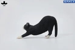 1/6 Scale stretching Cat