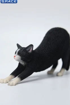 1/6 Scale stretching Cat