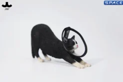 1/6 Scale stretching Cat